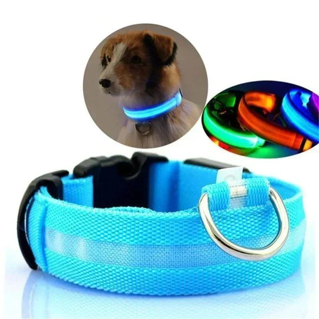 GlowPets LED-halsband – Säkerhet och synlighet för husdjur