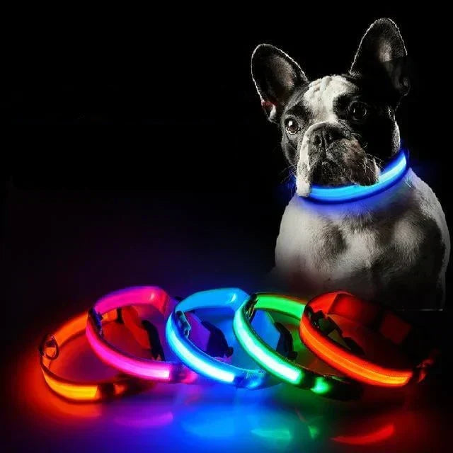 GlowPets LED-halsband – Säkerhet och synlighet för husdjur