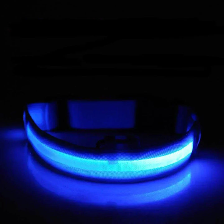 GlowPets LED-halsband – Säkerhet och synlighet för husdjur
