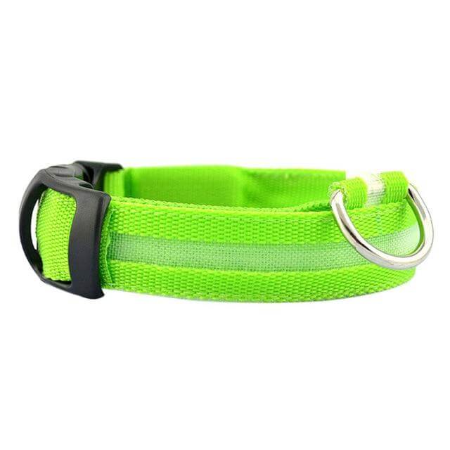 GlowPets LED-halsband – Säkerhet och synlighet för husdjur