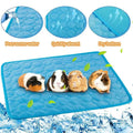 Guinea Pig Burk Foder Sommar Litet Djur Kylmat Andningsbar Hamster Kiss Mat för Kanin Bur Chinchilla Igelkottar Husdjursartikel |