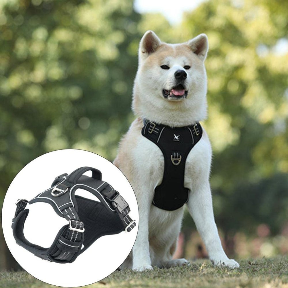 PowerHarness •  Ingen Drag Hundsele