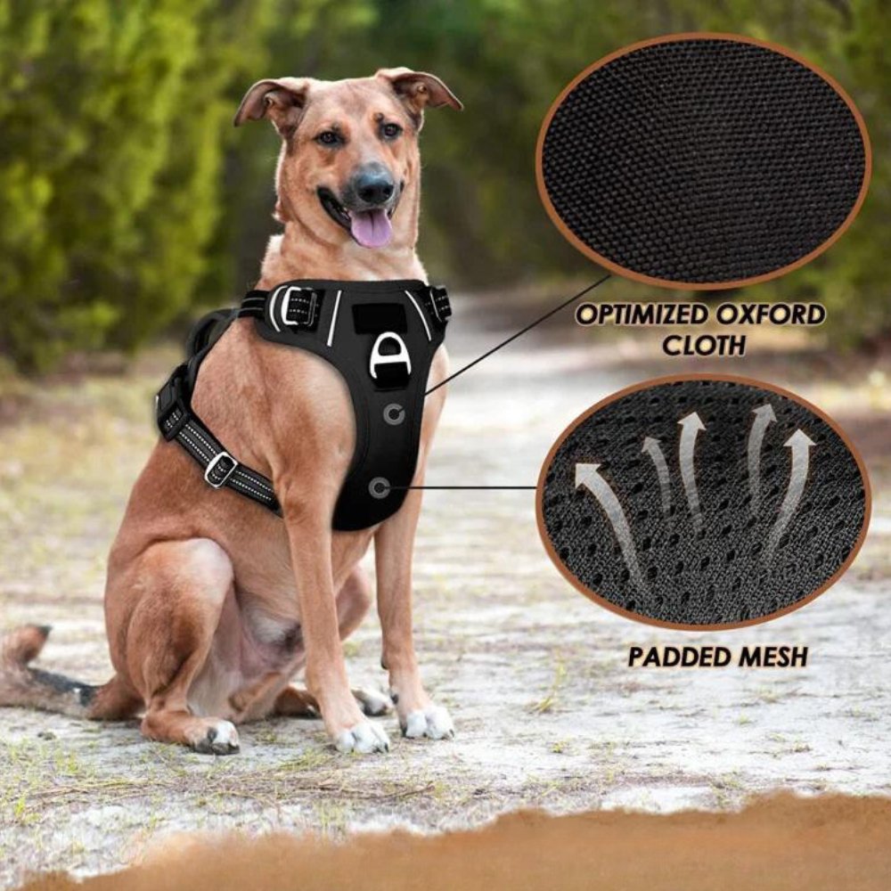 PowerHarness •  Ingen Drag Hundsele