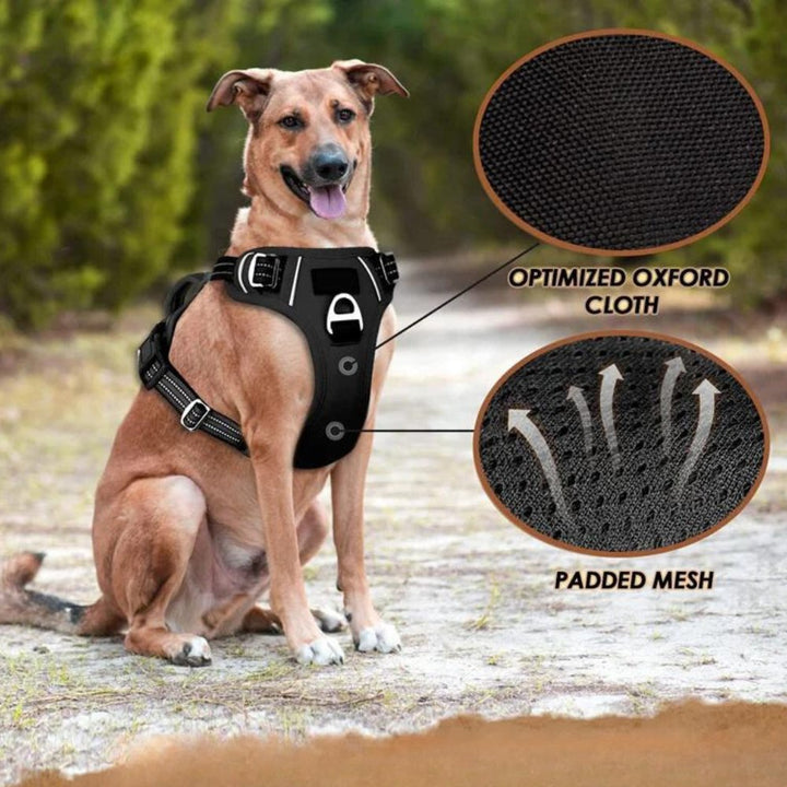 PowerHarness •  Ingen Drag Hundsele
