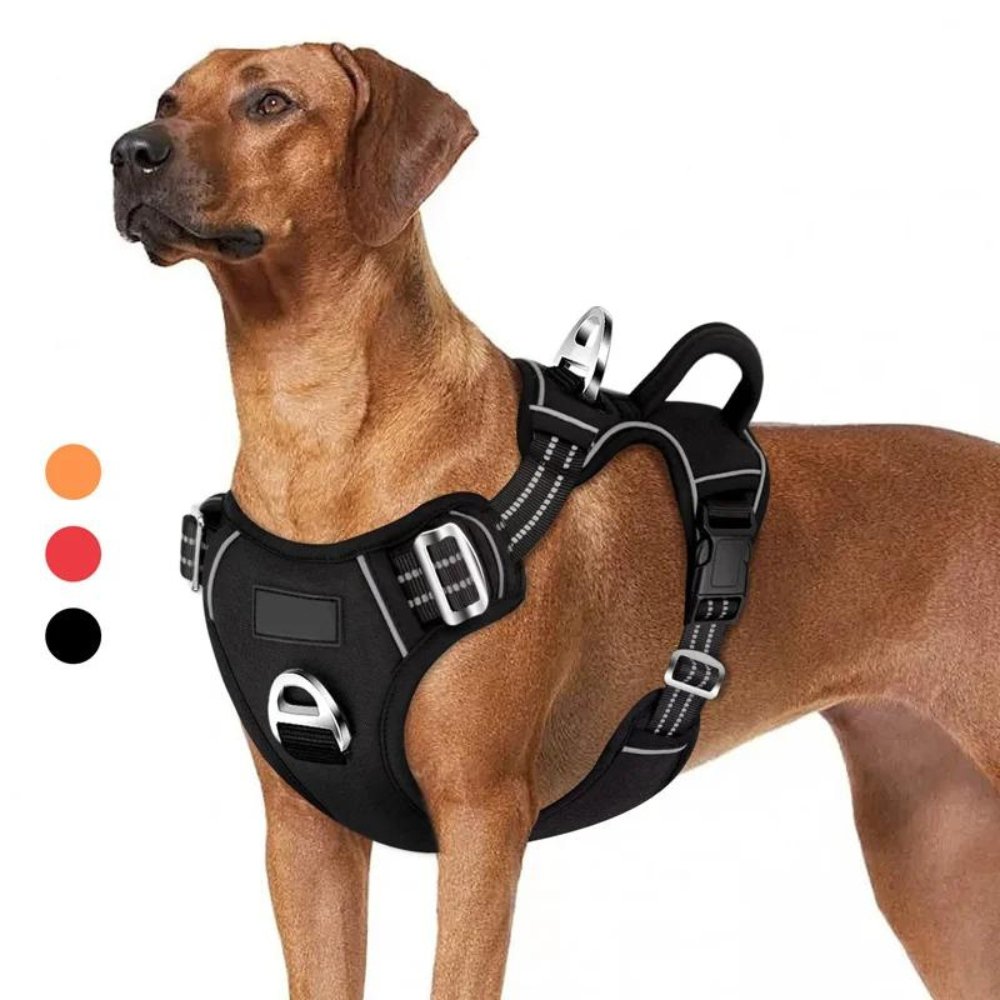 PowerHarness •  Ingen Drag Hundsele