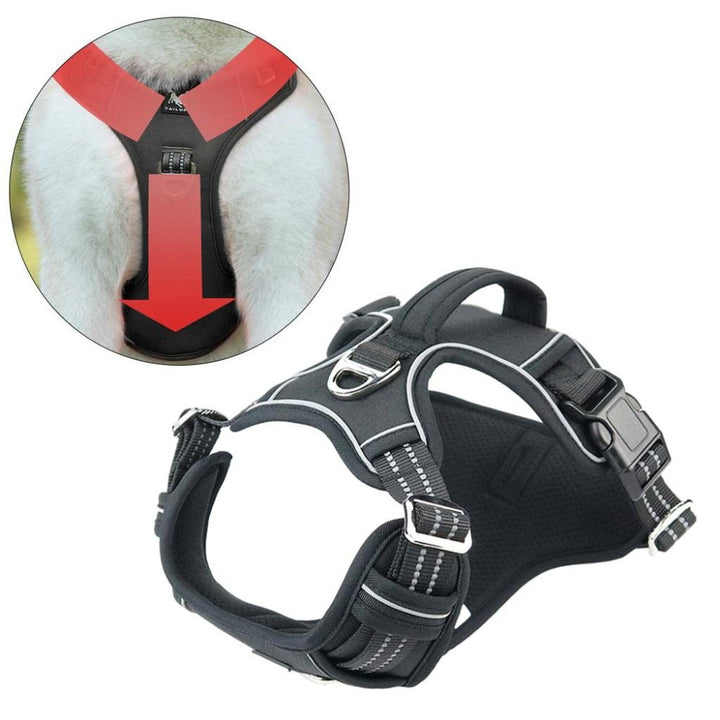 PowerHarness •  Ingen Drag Hundsele