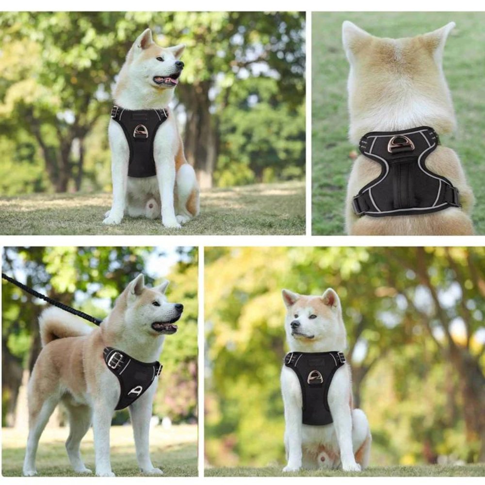 PowerHarness •  Ingen Drag Hundsele