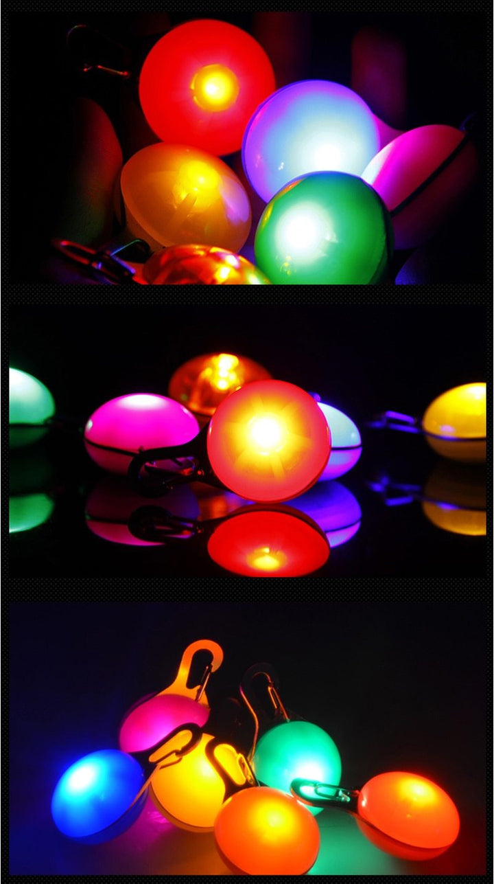 LED Flash Hundhalsband Pendant |