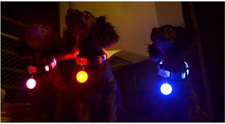 LED Flash Hundhalsband Pendant |