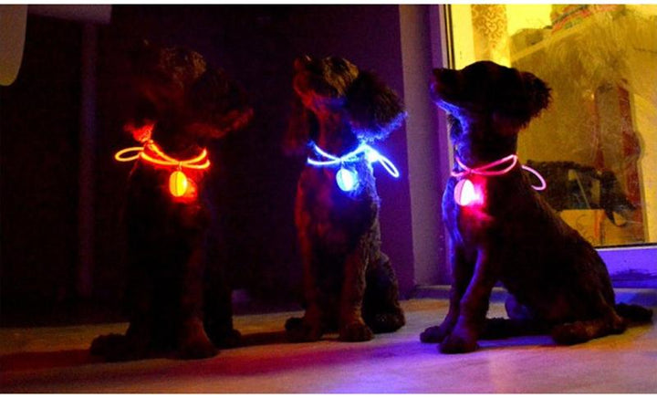 LED Flash Hundhalsband Pendant |