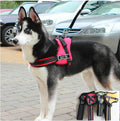 Hundpromenadsele |