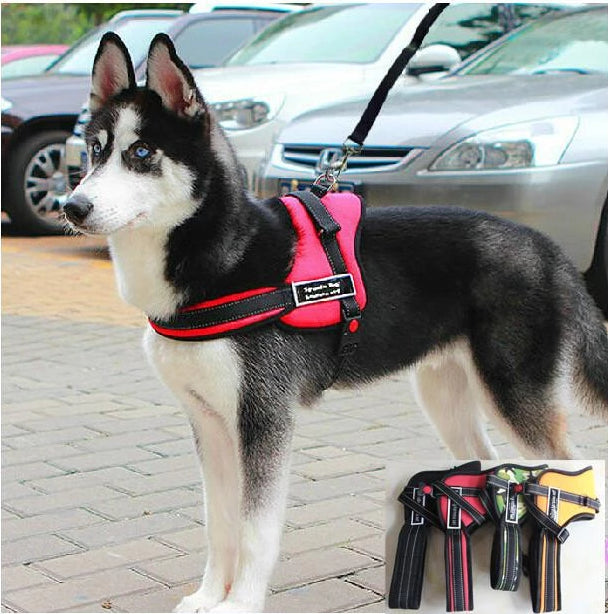 Hundpromenadsele |
