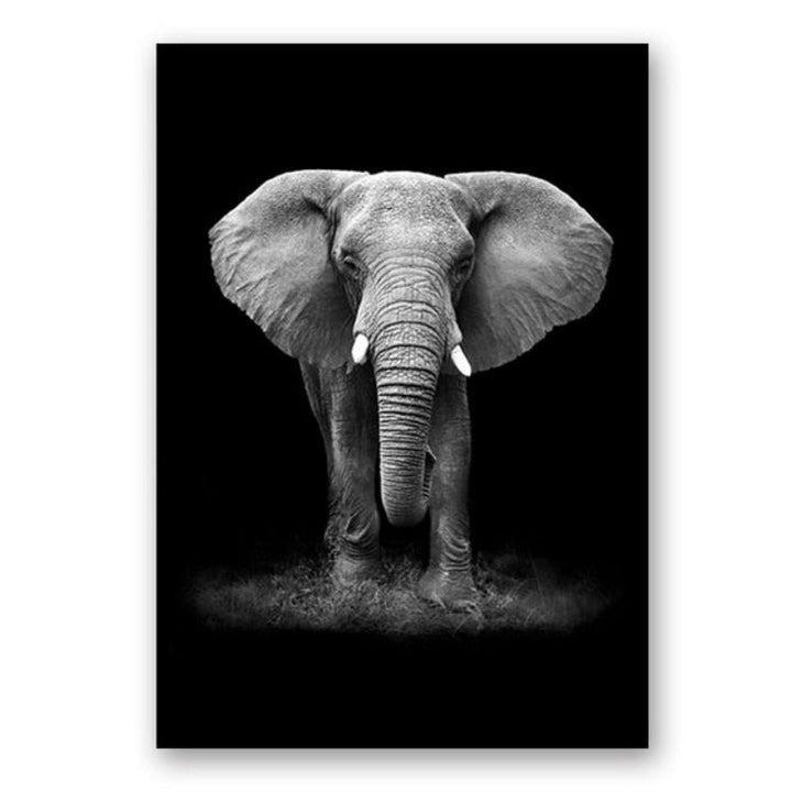 Natur Vilda Djur Afrika Vilda Djur Svart Vit - Canvas Väggkonst Målning