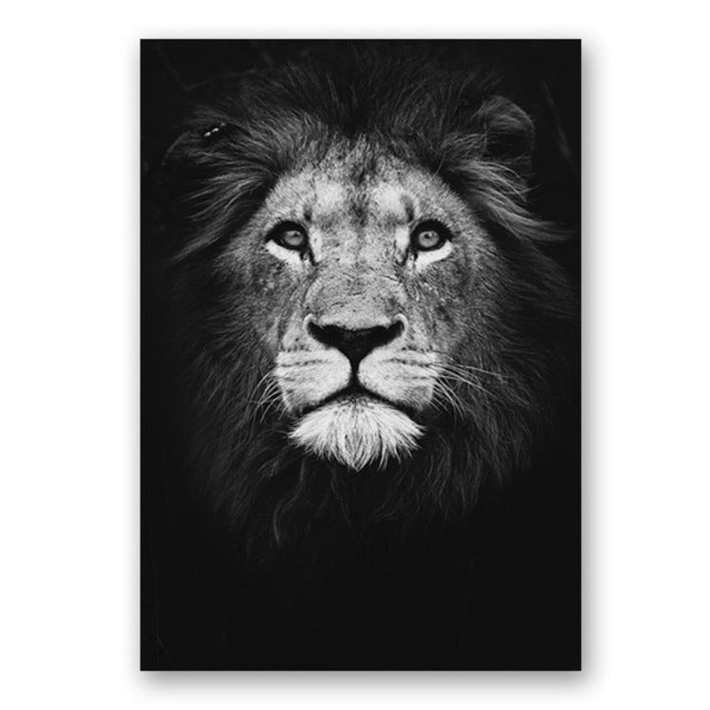 Natur Vilda Djur Afrika Vilda Djur Svart Vit - Canvas Väggkonst Målning