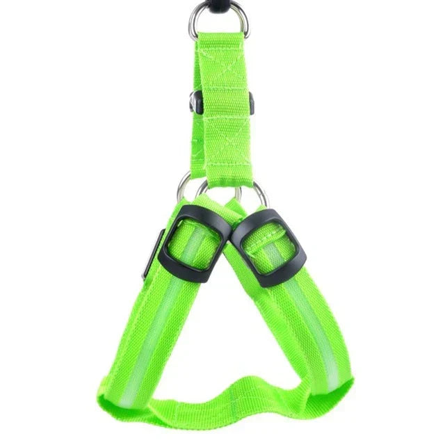 GlowSafe LED Hundsele