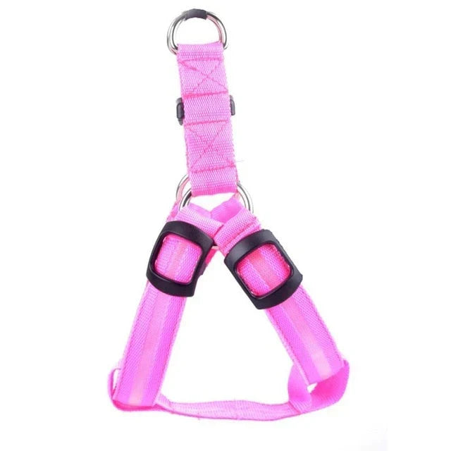 GlowSafe LED Hundsele