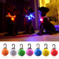 LED Flash Hundhalsband Pendant |