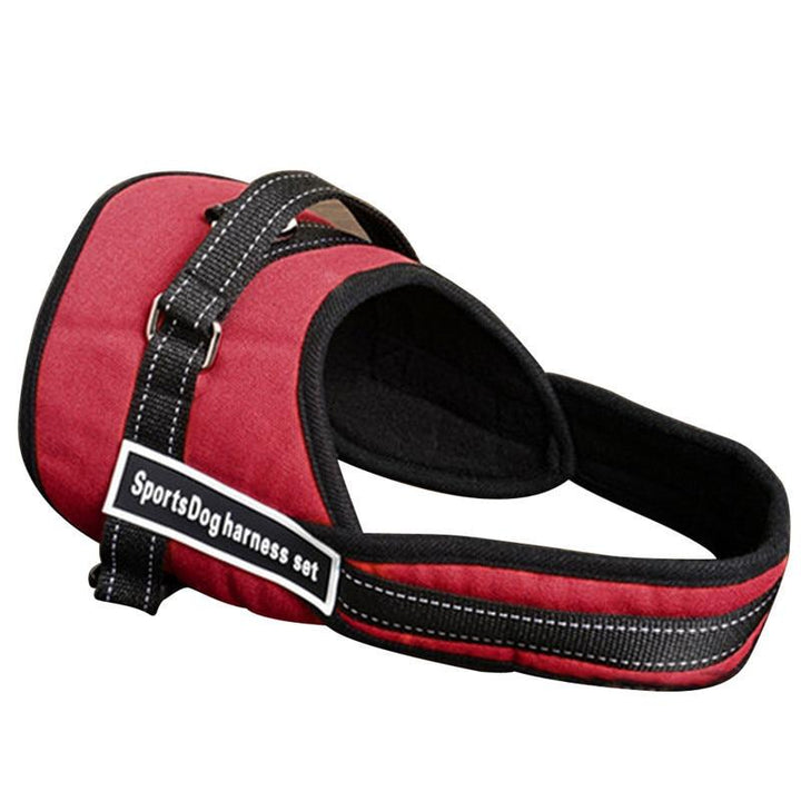 Hundpromenadsele |