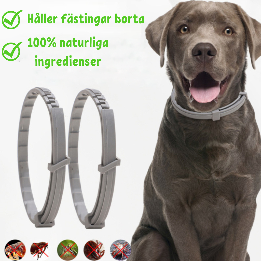 FleaShield Halsband – Skydd mot Loppor och Fästingar