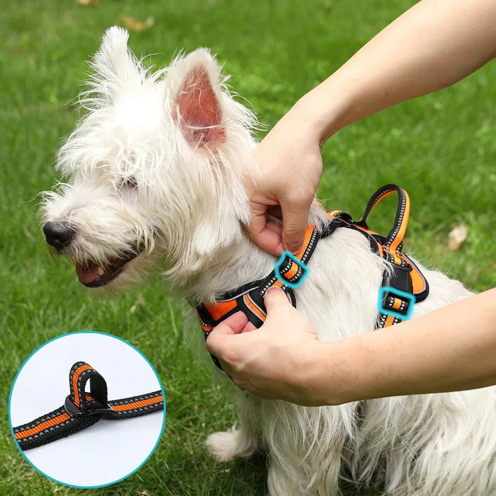 ReflectaGuard •  Ingen Drag Hundsele