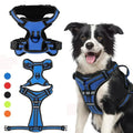 ReflectaGuard •  Ingen Drag Hundsele