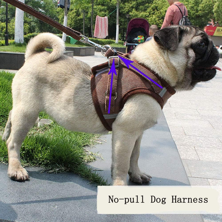 ReflectaHarness • Ingen Dragsele för Hundar