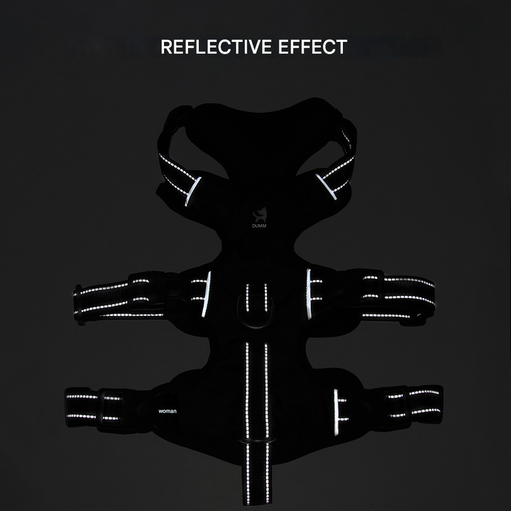 Reflekterande Anti-Dra Hundsele - GripGuard