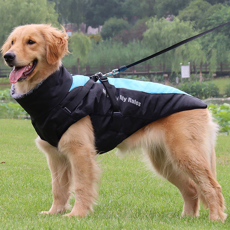 Reflekterande Hundjacka med Sele - GlowPaw™