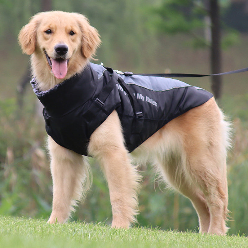 Reflekterande Hundjacka med Sele - GlowPaw™