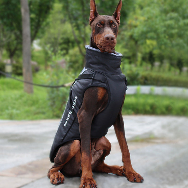 Reflekterande Hundjacka med Sele - GlowPaw™