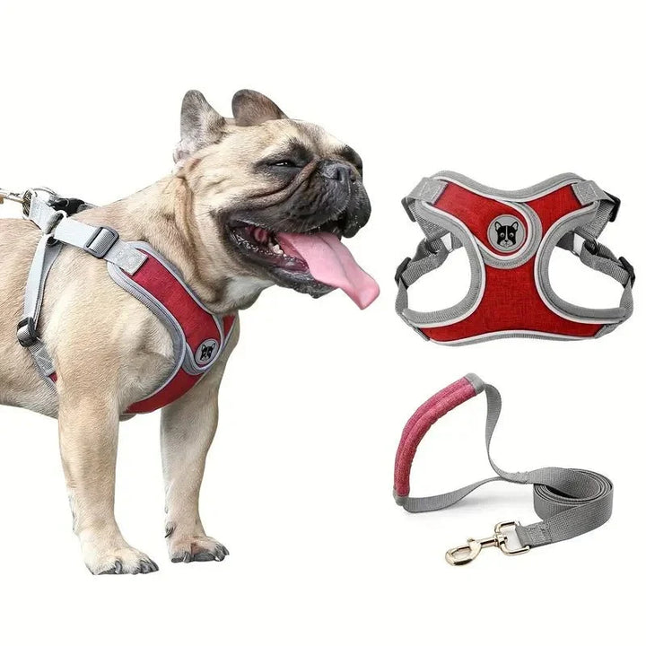 ReflectoLeash •  Ingen Drag Hundsele