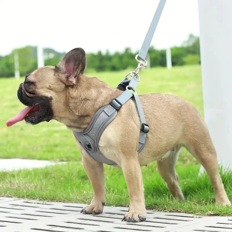 ReflectoLeash •  Ingen Drag Hundsele