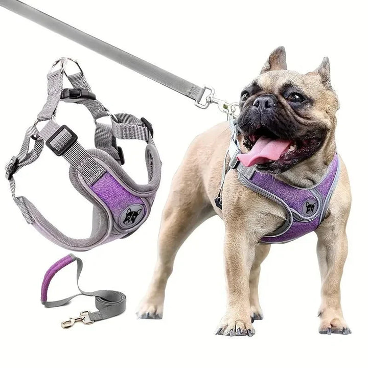 ReflectoLeash •  Ingen Drag Hundsele