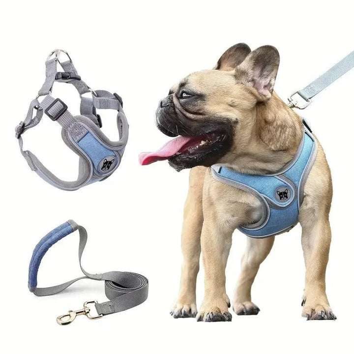 ReflectoLeash •  Ingen Drag Hundsele