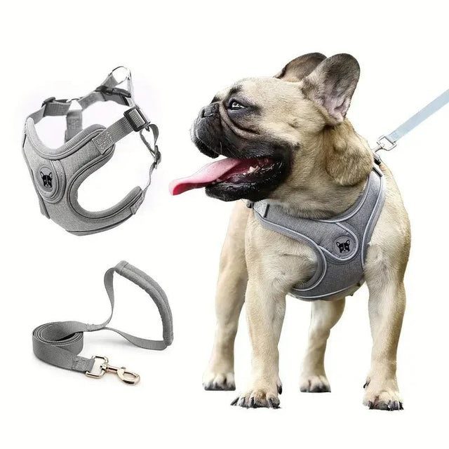 ReflectoLeash •  Ingen Drag Hundsele