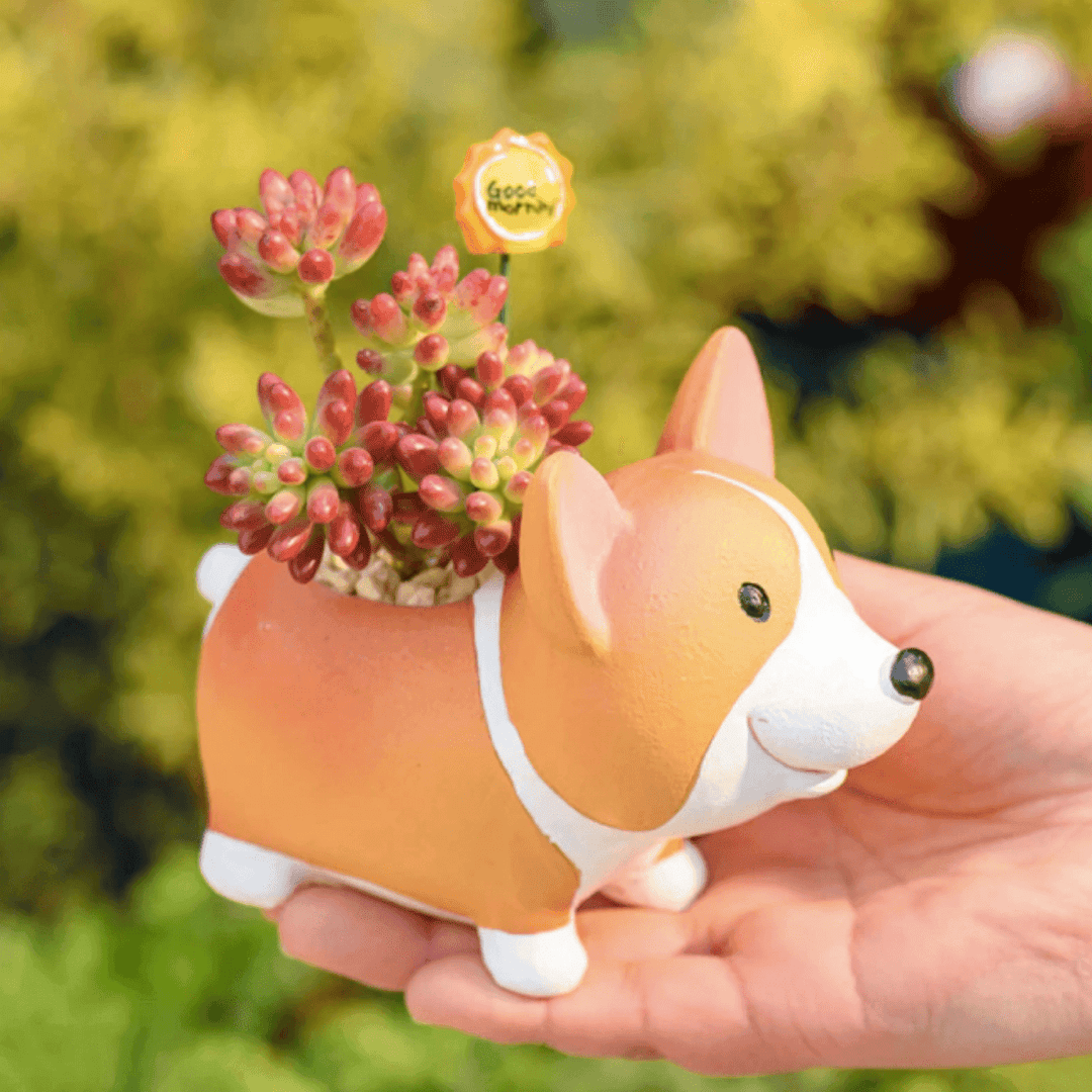 Resin Corgi Mini Blomkruka