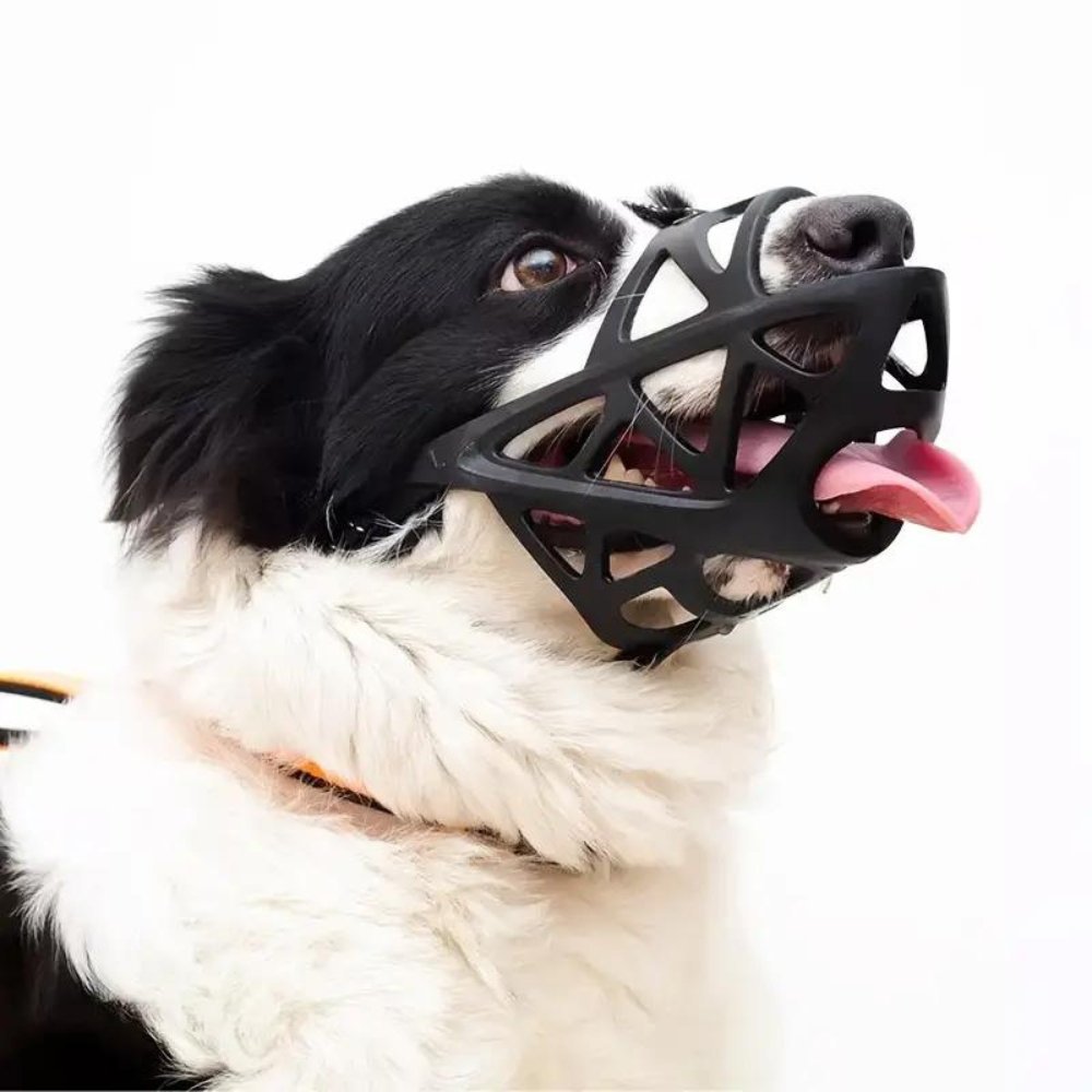 SafeBark • Hundmask
