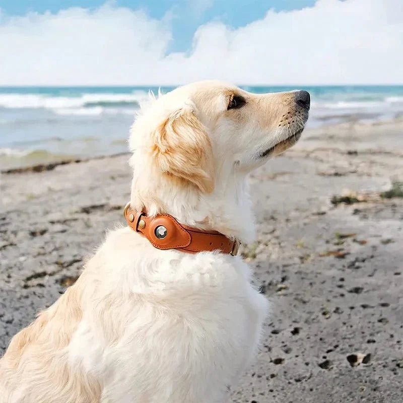 SafeTrack • Premium AirTag Hundhalsband