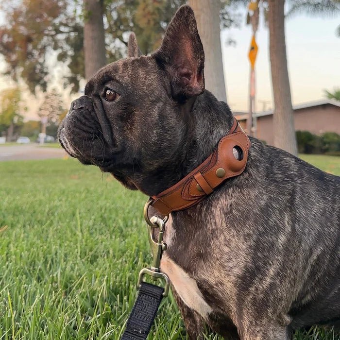 SafeTrack • Premium AirTag Hundhalsband