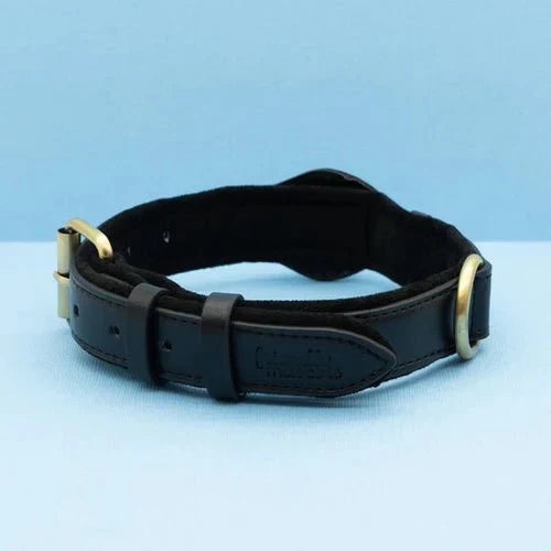 SafeTrack • Premium AirTag Hundhalsband