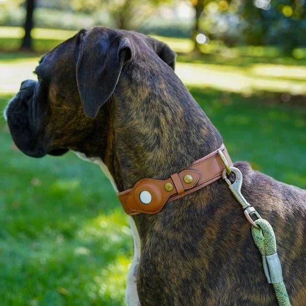 SafeTrack • Premium AirTag Hundhalsband