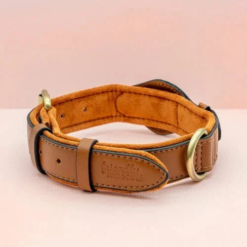 SafeTrack • Premium AirTag Hundhalsband