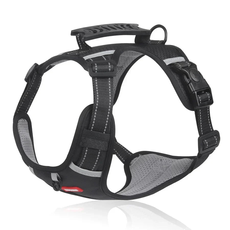 Robust och Bekväm Hundsele - ActivePup™