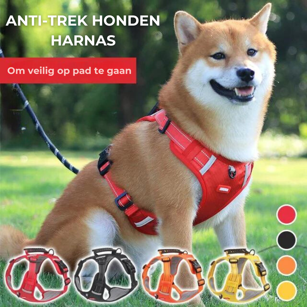 Robust och Bekväm Hundsele - ActivePup™