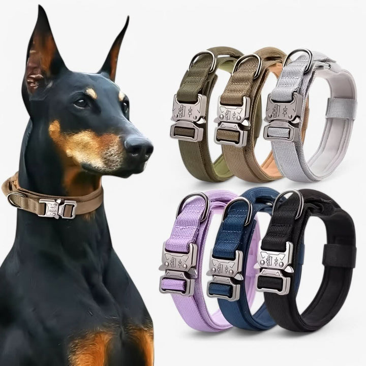 Justerbar Hundhalsband Set för Äventyr och Daglig Träning