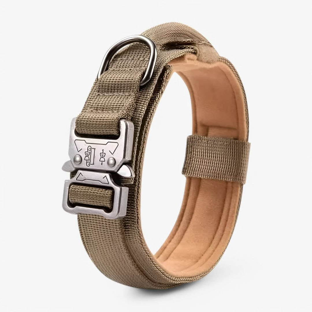 Justerbar Hundhalsband Set för Äventyr och Daglig Träning
