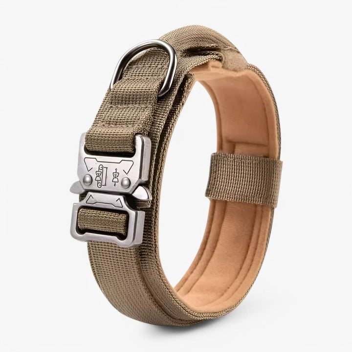 Justerbar Hundhalsband Set för Äventyr och Daglig Träning
