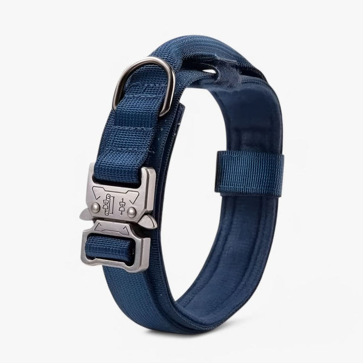 Justerbar Hundhalsband Set för Äventyr och Daglig Träning