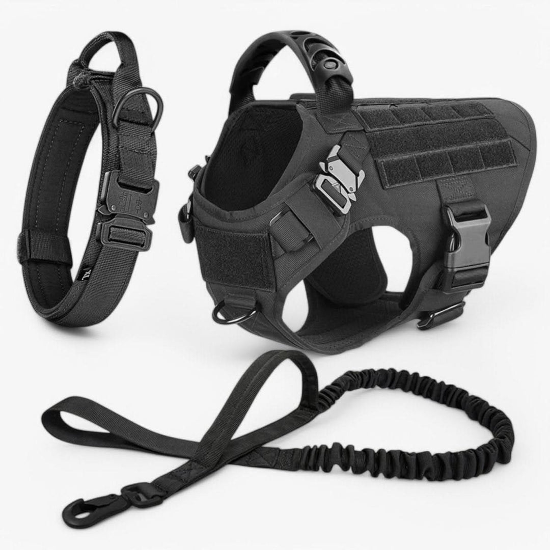 Justerbar Hundsele för Säker och Bekväm Träning