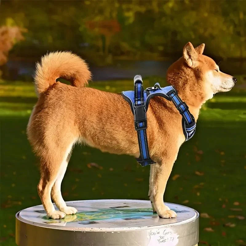 TotalControl •  Ingen Drag Hundsele